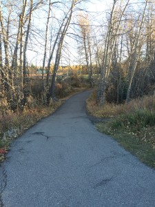 Beginning of Trail